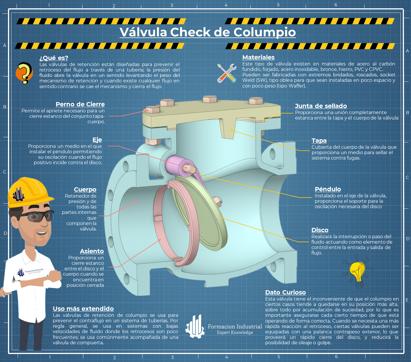 Infografía explicativa de las aplicaciones y ventajas de las válvulas check en la industria.