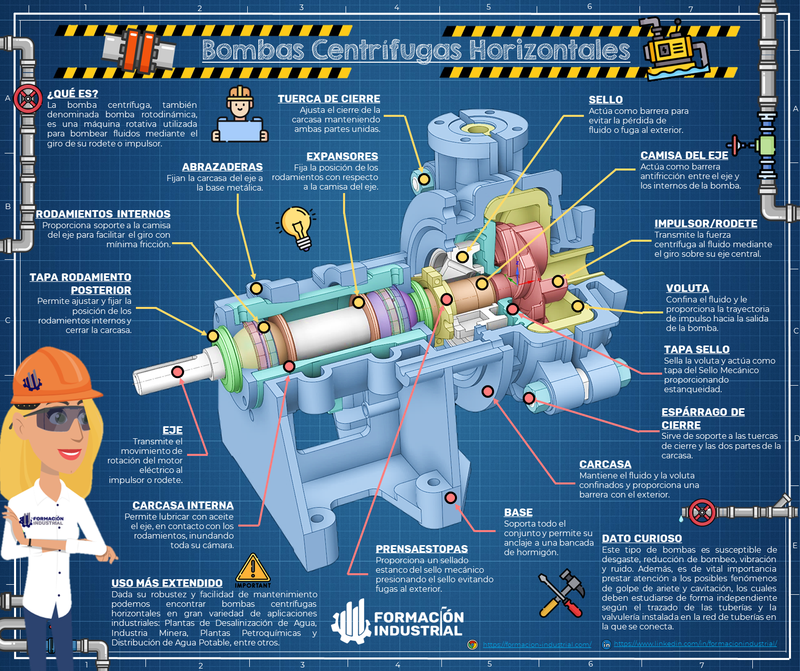 Infografía detallada de los componentes internos de una bomba centrífuga horizontal.