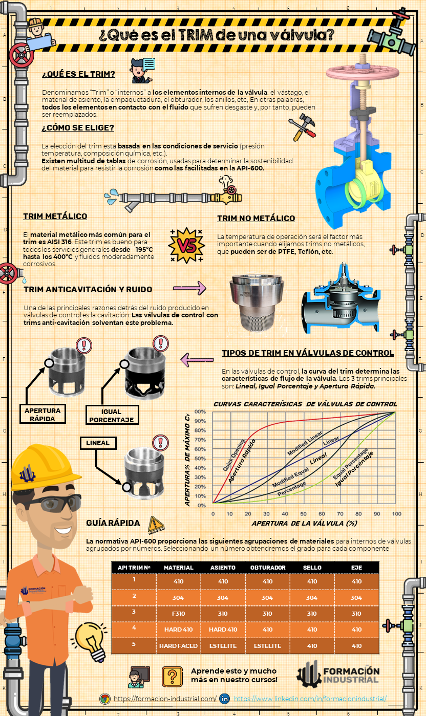 Infografía detallada del TRIM en válvulas industriales, mostrando componentes y materiales